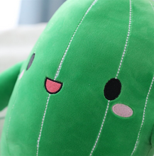 Load image into Gallery viewer, Cactus Plush
